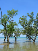 หาดไร่เลย์ หาดไร่เลย์ตะวันออก อ่าวไร่เลย์ตะวันออก อ.เมือง จ.กระบี่ 